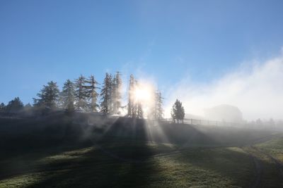 Sunlight streaming through trees on landscape against sky