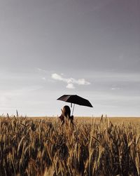 Scenic view of wheat field against sky