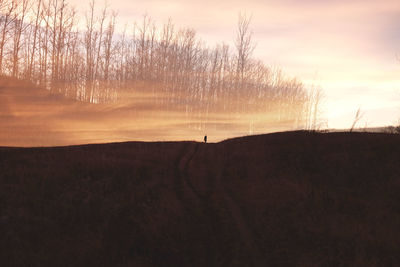 Scenic view of silhouette landscape against sky at sunset