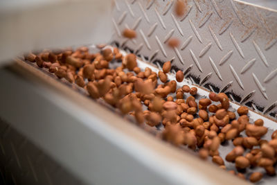 High angle view of coffee beans