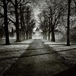 Empty road in forest