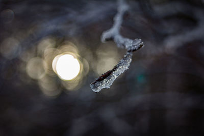 Close-up of ice crystals