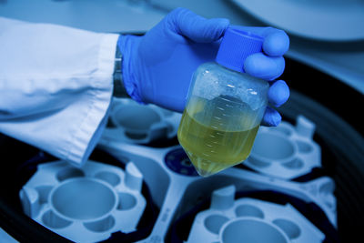 Cropped hand of scientist examining chemical