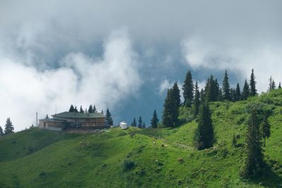 Panoramic view of trees on field against sky