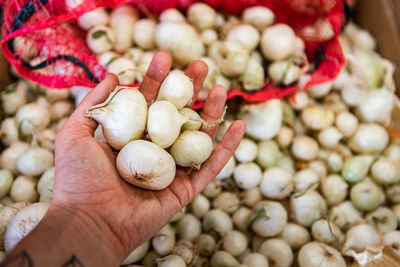 High angle view of hand holding vegetables at market stall