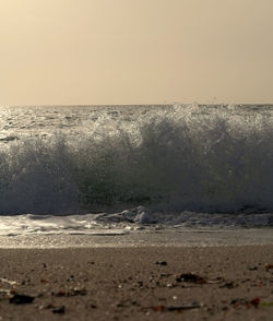 Close-up of wet beach against sky during sunset