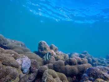 Scenic view of sea and rocks