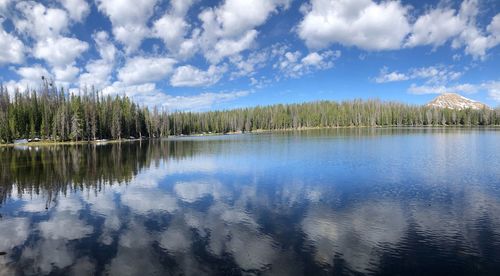 Scenic view of lake by trees against sky