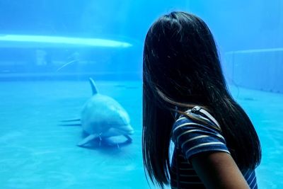 Side view of woman looking at dolphin swimming in aquarium