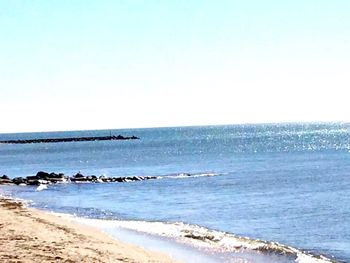 Scenic view of beach