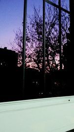 View of trees through window