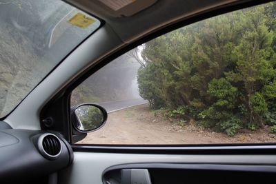 Reflection of car on side-view mirror