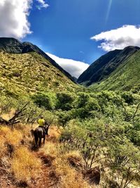 Low angle view of sheep on landscape against sky