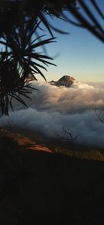 Scenic view of landscape against sky during sunset