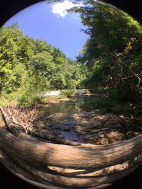 Scenic view of river