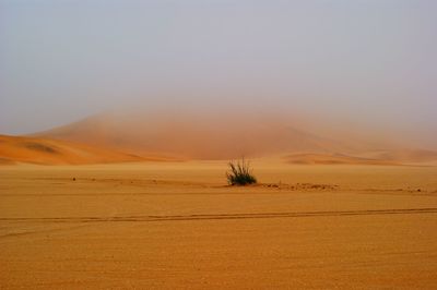 Scenic view of desert against sky