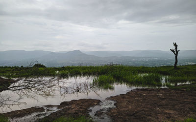 Scenic view of small pond against sky