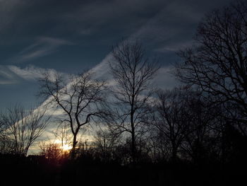 Low angle view of silhouette trees against sky at sunset