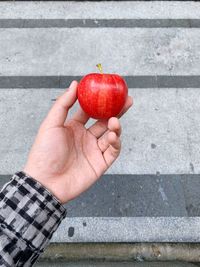 Close-up of hand holding apple