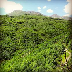 Scenic view of green landscape against sky