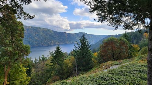 Lush mountains and lake framed by vibrant green trees with a walking path.