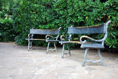 Old bronze vintage benches in the park, no people