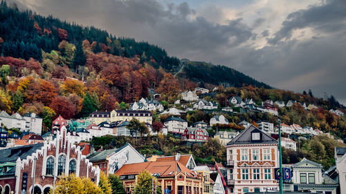 Houses on the mountain