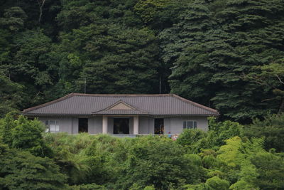 House amidst trees and plants in forest