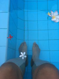 Low section of man swimming in pool