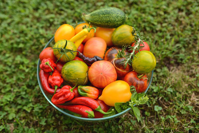 Close-up of tomatoes and chili peppers in basket on field