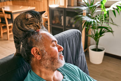 Tabby cat licking face of bearded man in living room. human-animal relationships. pets care.