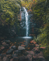 Scenic view of waterfall in forest