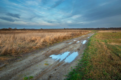 Dirt road with puddles through meadows with dry grasses, horizon and evening clouds