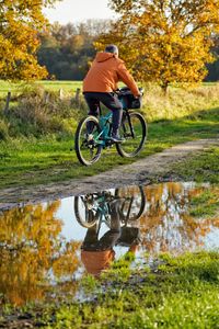 Rear view of man riding bicycle on field
