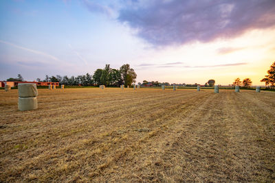 Hay bales in plastic in a field