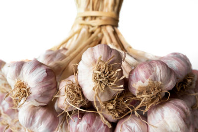 Close-up of onions against white background