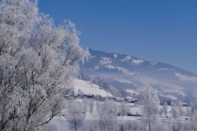 Scenic view of tree mountains against clear sky