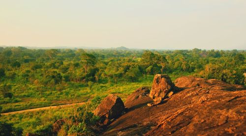 Scenic view of landscape