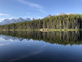 Scenic view of lake by trees against sky