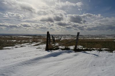 winter