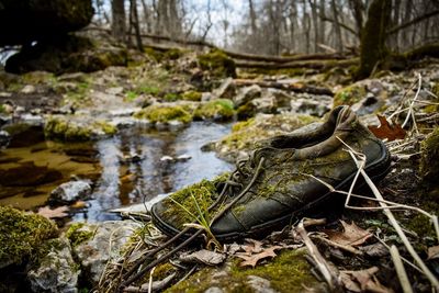 High angle view of rocks by river in forest