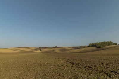 Scenic view of agricultural field against clear blue sky