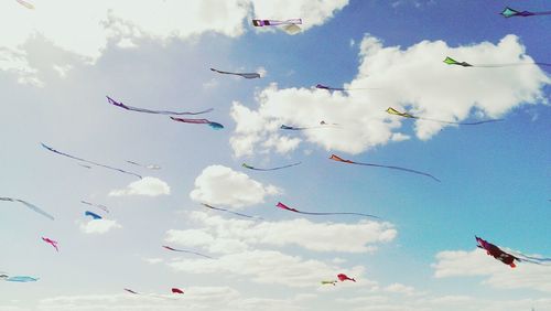 Low angle view of bird flying in sky