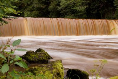 Scenic view of waterfall in forest