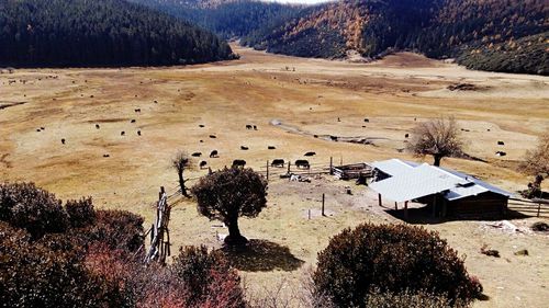 High angle view of house on landscape