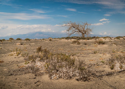Scenic view of arid landscape against sky