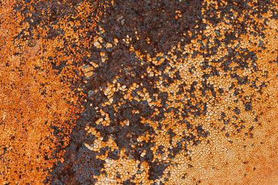 Full frame shot of rusty metal