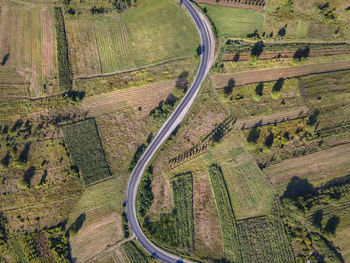 High angle view of agricultural landscape