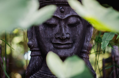 Close-up of statue