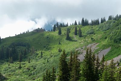 Panoramic view of landscape against sky